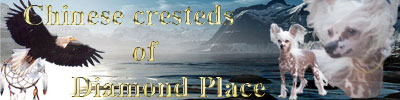 http://www.diamond-place.com/images/banner.jpg